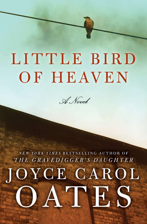 Book cover of Little Bird of Heaven