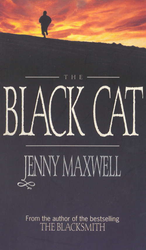 Book cover of The Black Cat