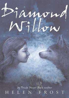 Book cover of Diamond Willow