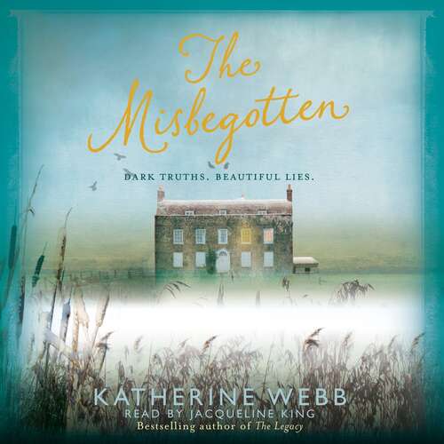 Book cover of The Misbegotten: A haunting mystery of family secrets, passion and lies