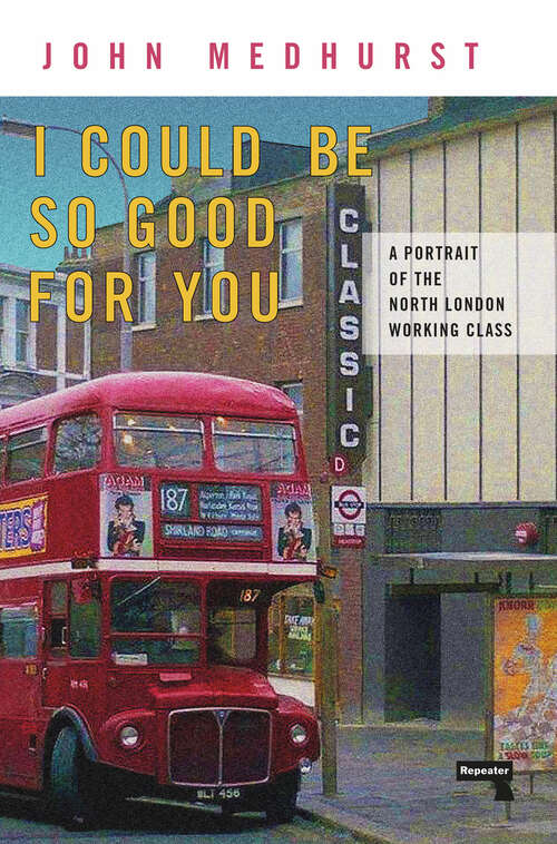 Book cover of I Could Be So Good For You: A Portrait of the North London Working Class