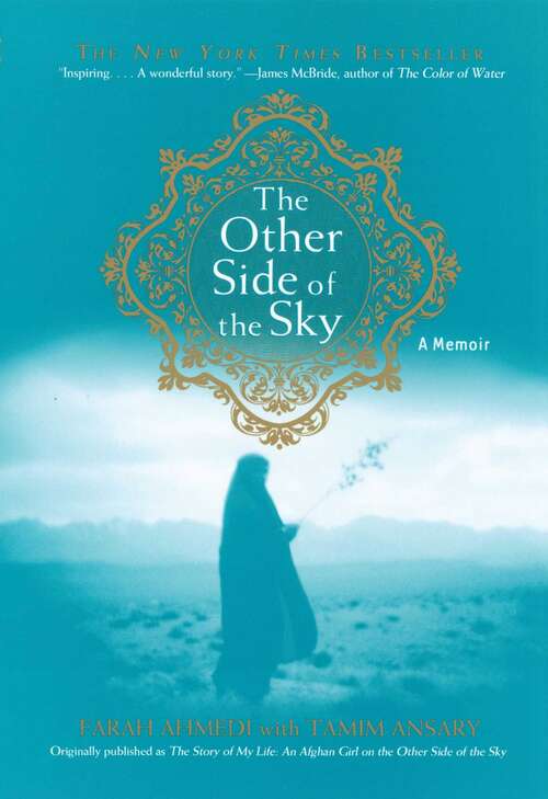 Book cover of Other Side of the Sky