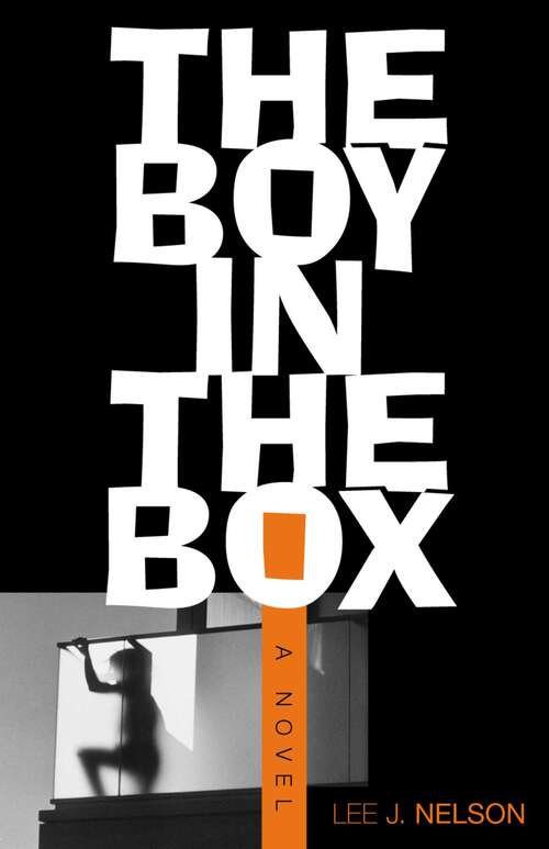 Book cover of The Boy in the Box: A Novel