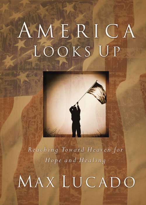 Book cover of America Looks Up: Reaching Toward Heaven for Hope and Healing