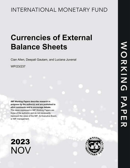 Book cover of Currencies of External Balance Sheets