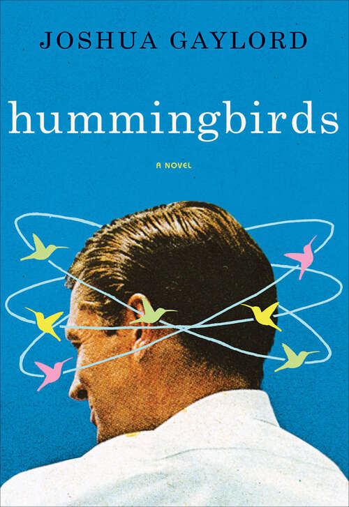 Book cover of Hummingbirds: A Novel