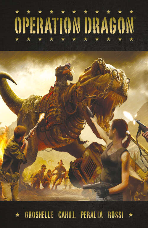 Book cover of Operation Dragon