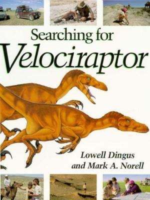 Book cover of Searching for Velociraptor