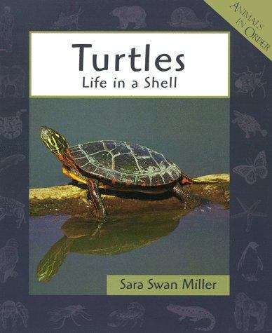 Turtles: Life In a Shell