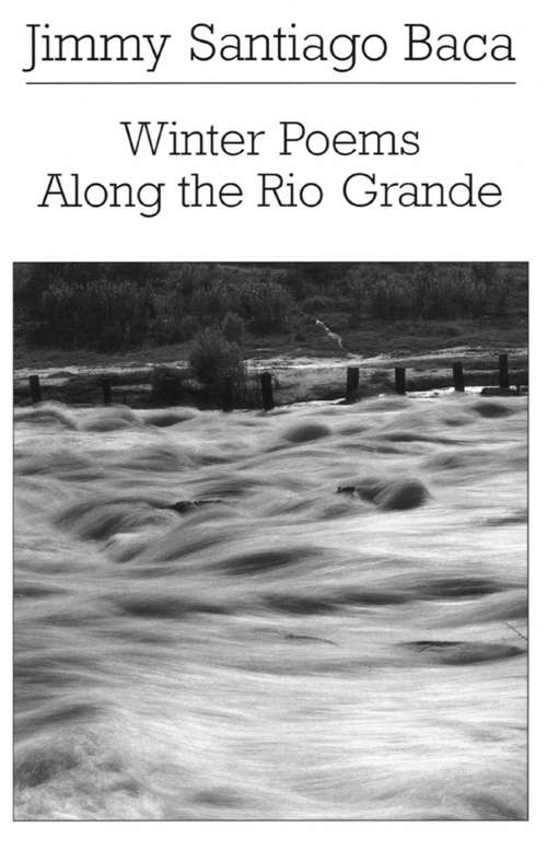 Book cover of Winter Poems Along the Rio Grande