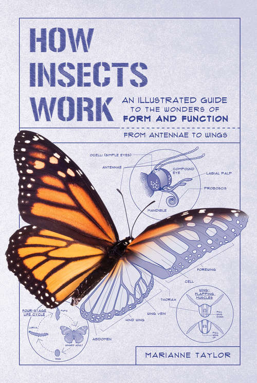 Book cover of How Insects Work: An Illustrated Guide to the Wonders of Form and Function—from Antennae to Wings