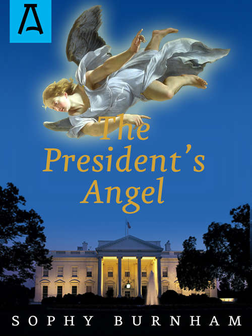 Book cover of The President's Angel