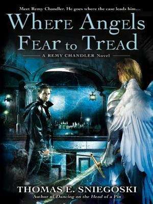 Book cover of Where Angels Fear to Tread