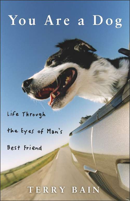 Book cover of You Are A Dog: Life Through the Eyes of Man's Best Friend