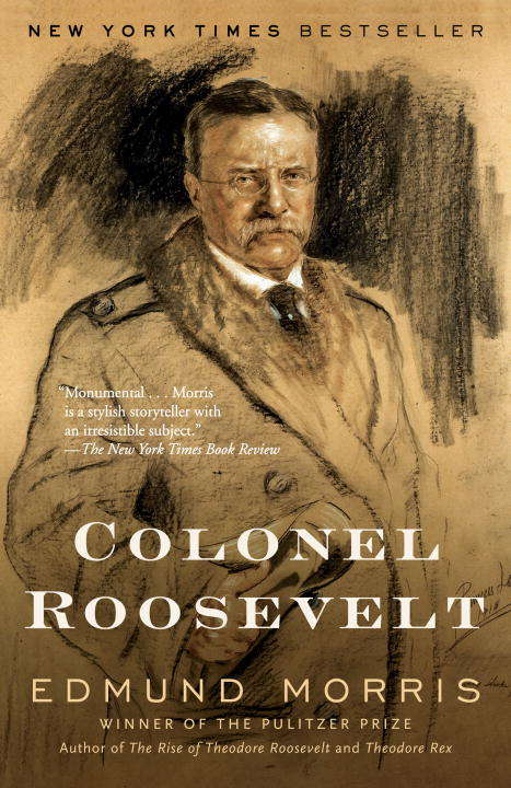 Book cover of Colonel Roosevelt