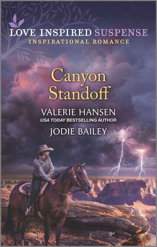 Canyon Standoff: Canyon Under Siege / Missing In The Wilderness (Mills And Boon Love Inspired Suspense Ser.)