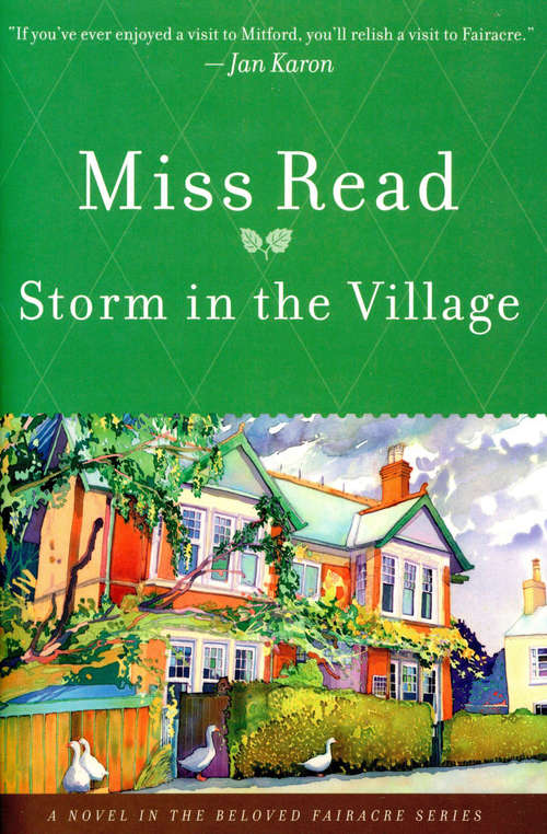Book cover of Storm in the Village