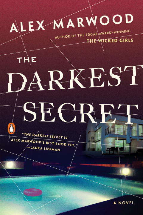 Book cover of The Darkest Secret: A Novel