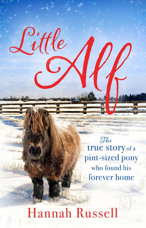 Book cover of Little Alf: The true story of a pint-sized pony who found his forever home