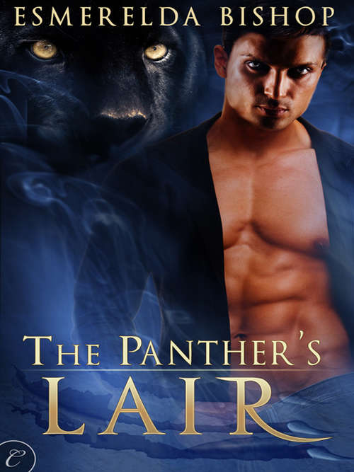 Book cover of The Panther's Lair