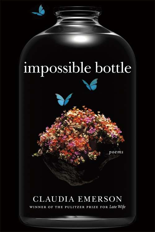 Impossible Bottle: Poems (Southern Messenger Poets)