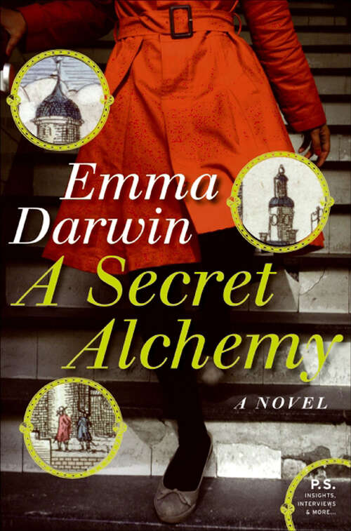 Book cover of A Secret Alchemy