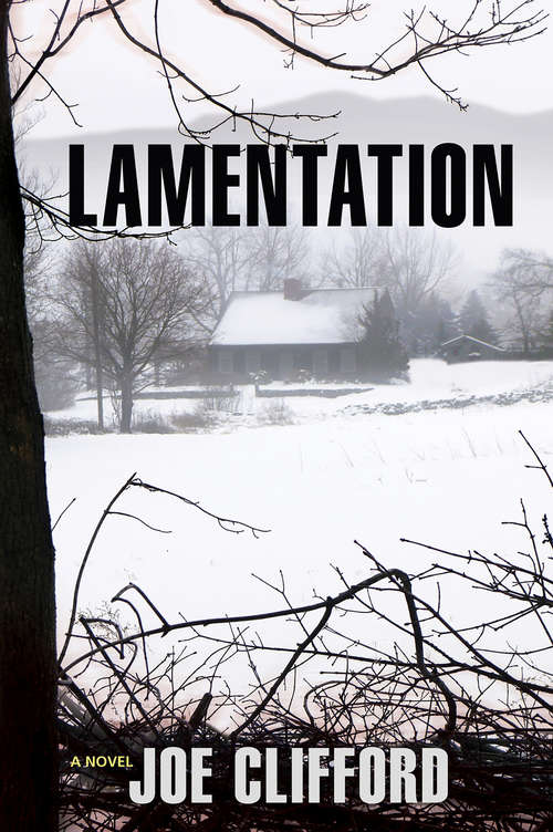 Book cover of Lamentation: A Novel (The Jay Porter Series #1)