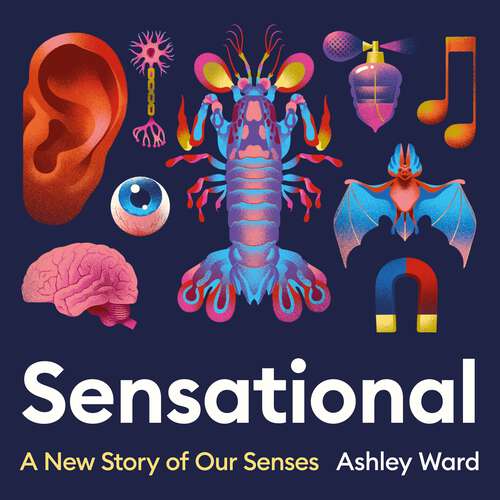 Book cover of Sensational: A New Story of our Senses