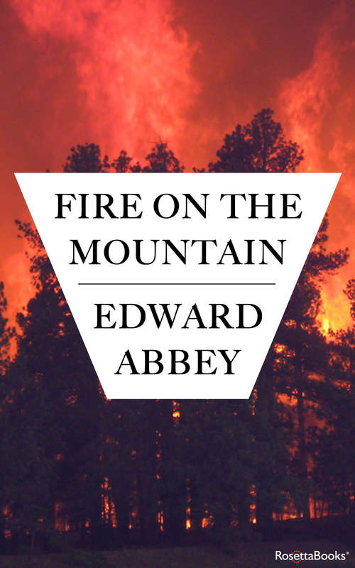 Book cover of Fire on the Mountain (P. S. Series)