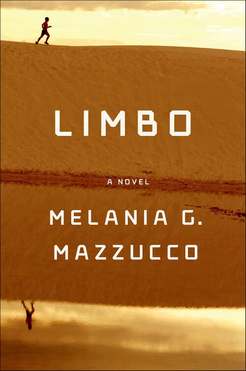 Book cover of Limbo: A Novel