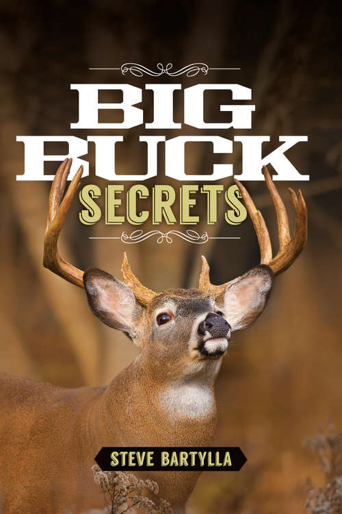 Book cover of Big Buck Secrets