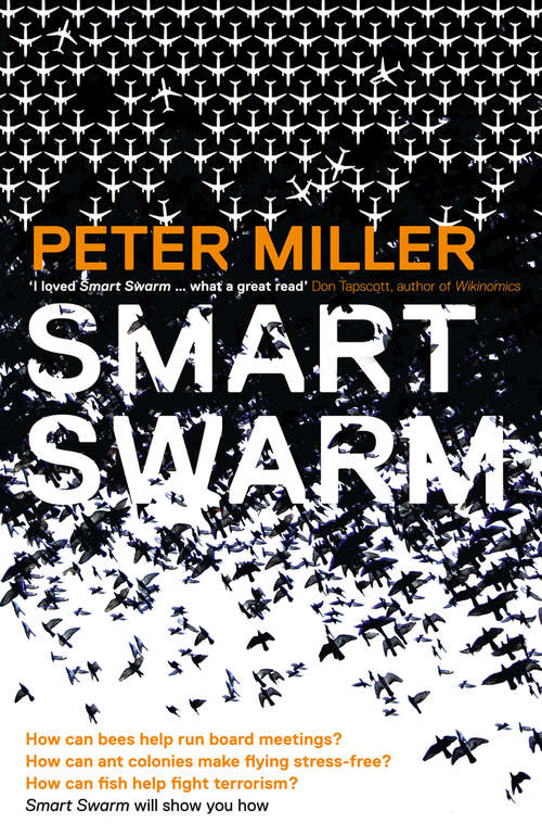 Cover image of Smart Swarm