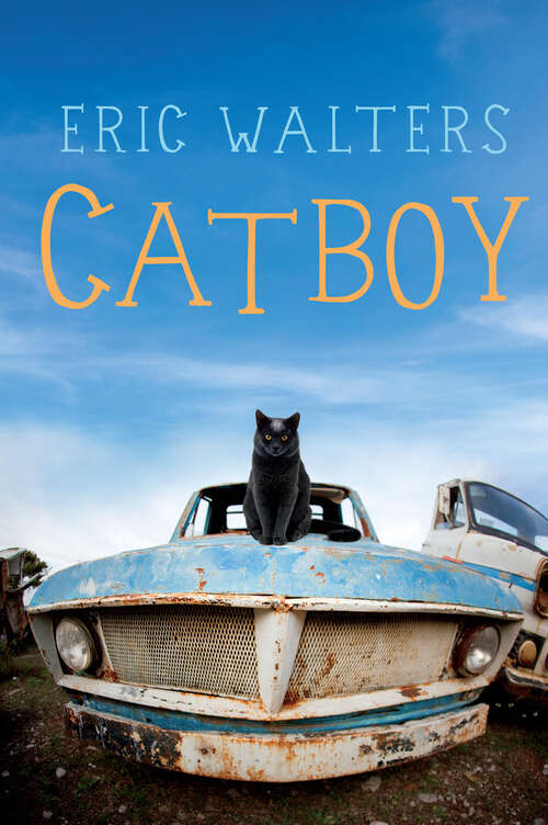 Book cover of Catboy