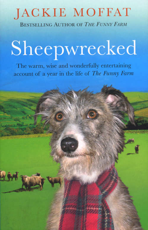 Book cover of Sheepwrecked