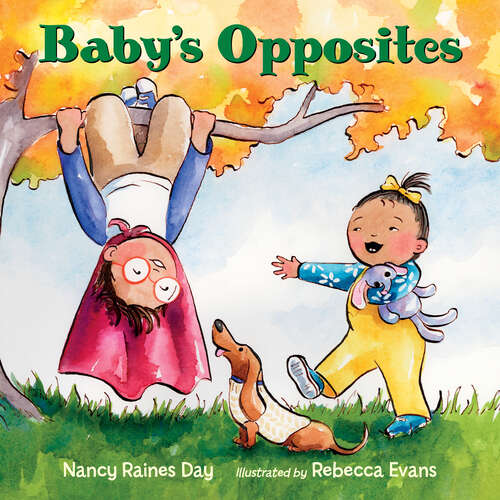 Book cover of Baby's Opposites
