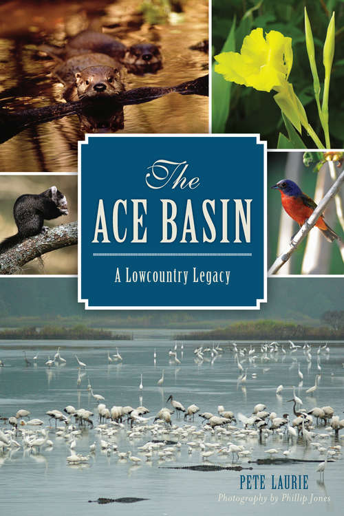 Book cover of ACE Basin, The: A Lowcountry Legacy