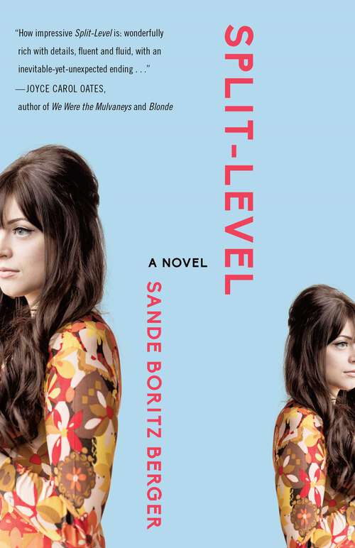 Book cover of Split-Level: A Novel