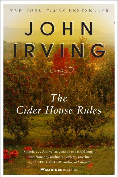 Book cover of The Cider House Rules