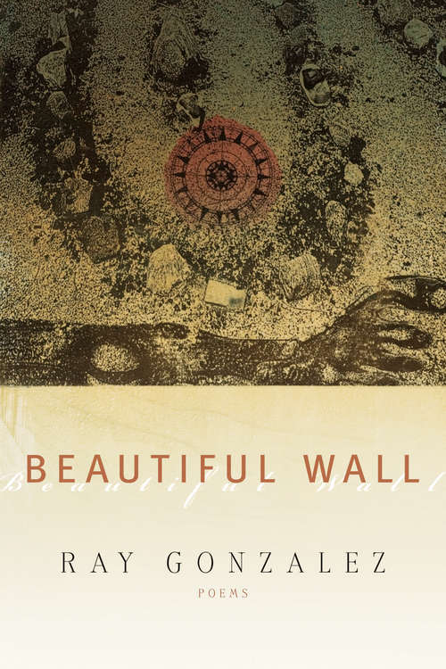 Book cover of Beautiful Wall