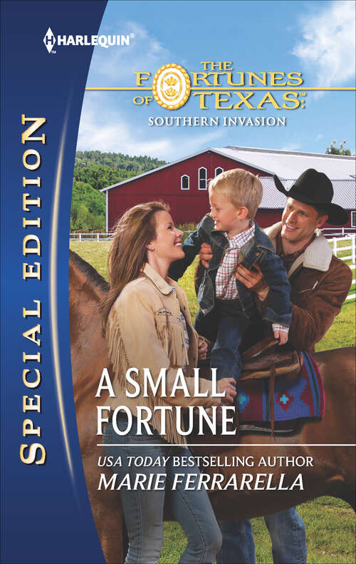Book cover of A Small Fortune