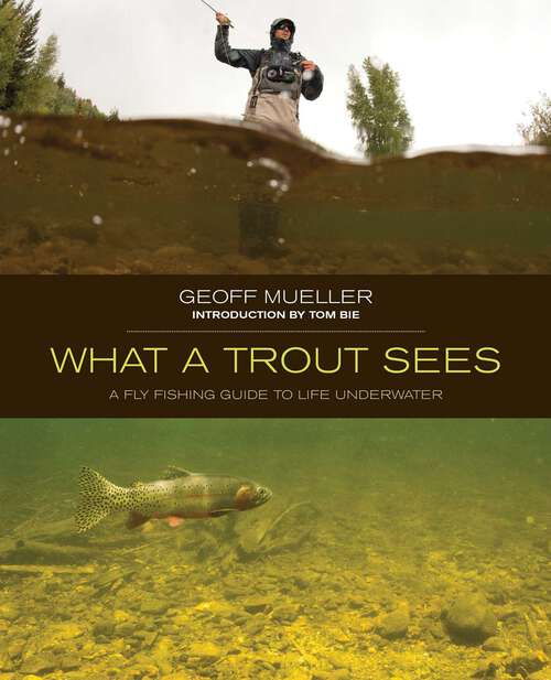 Book cover of What a Trout Sees: A Fly-Fishing Guide to Life Underwater