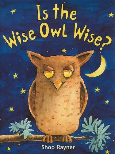 Book cover of Is the Wise Owl Wise? (Into Reading, Level J #3)