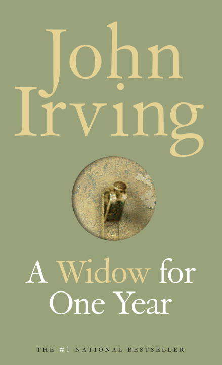 Book cover of A Widow for One Year