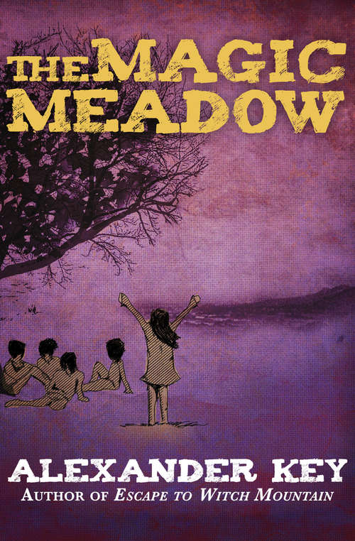 Book cover of The Magic Meadow (Digital Original)