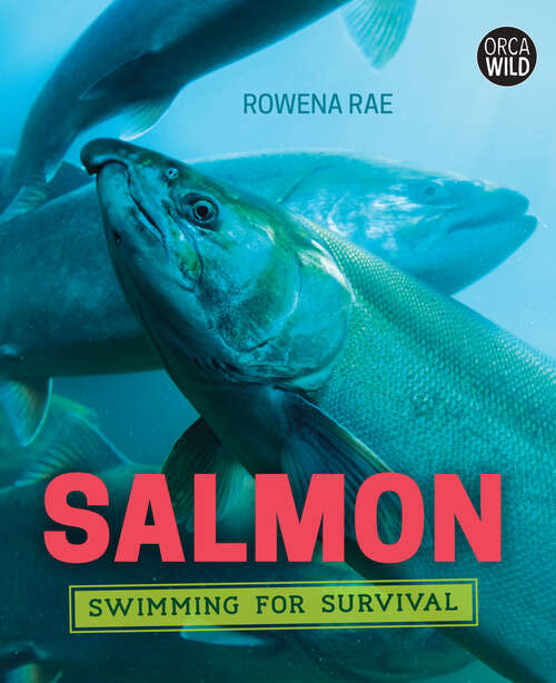 Book cover of Salmon: Swimming for Survival (Orca Wild #8)