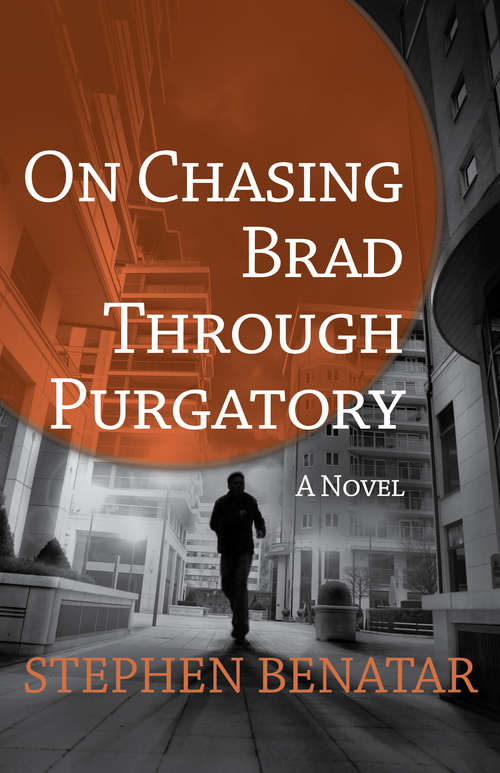 Book cover of On Chasing Brad Through Purgatory