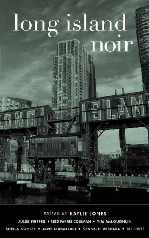 Book cover of Long Island Noir: Long Island Noir (Akashic Noir Ser.)