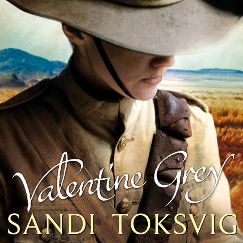Book cover of Valentine Grey