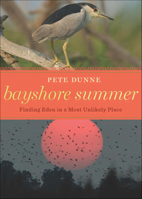 Book cover of Bayshore Summer: Finding Eden in a Most Unlikely Place