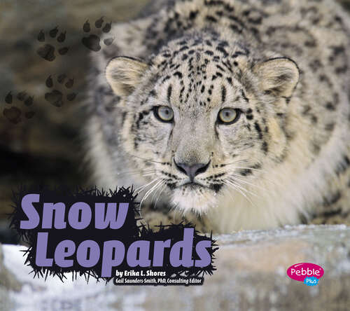Book cover of Snow Leopards (Wildcats Ser.)
